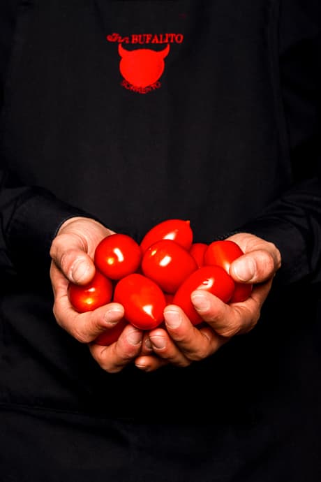 Inn Bufalito Sorrento